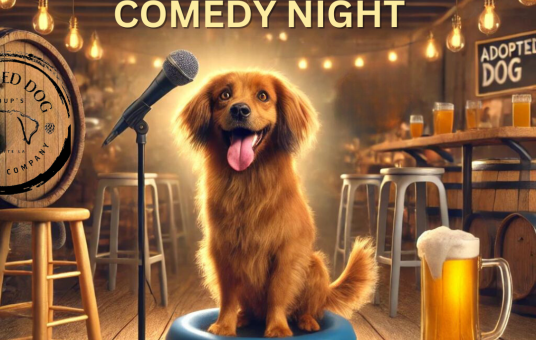 Hair of the Dog Comedy Night at Adopted Dog Brewing